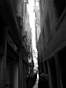 venise100.jpg