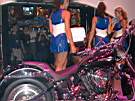 dsc00133.jpg